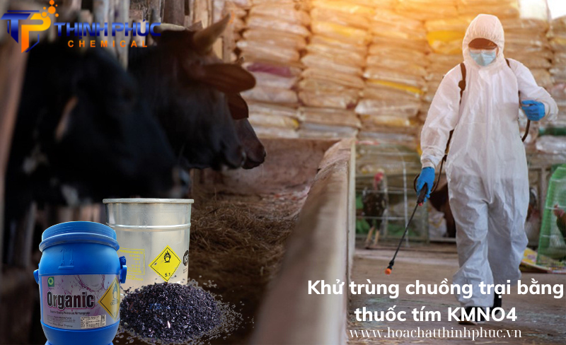 khử trùng chuồng trại bằng thuốc tím KMnO4