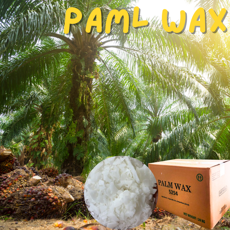 Palm wax