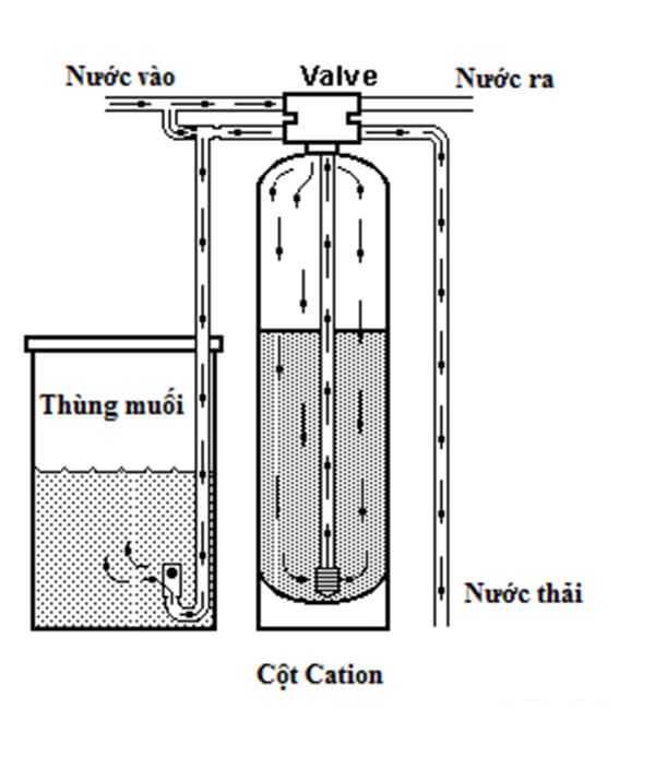 Các nước tái sinh hạt nhựa Cation