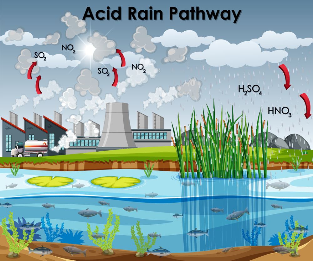 Axit nitric là loại axit được hình thành từ những cơn mưa có sấm và sét