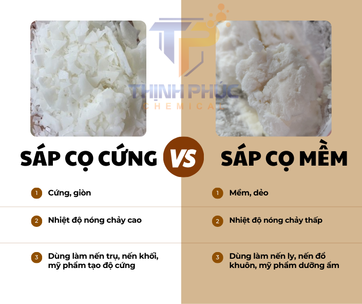 Sáp Cọ Palm Wax