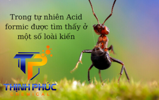 Acid Formic