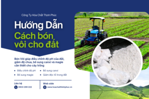 Hướng dẫn cách bón vôi cho đất