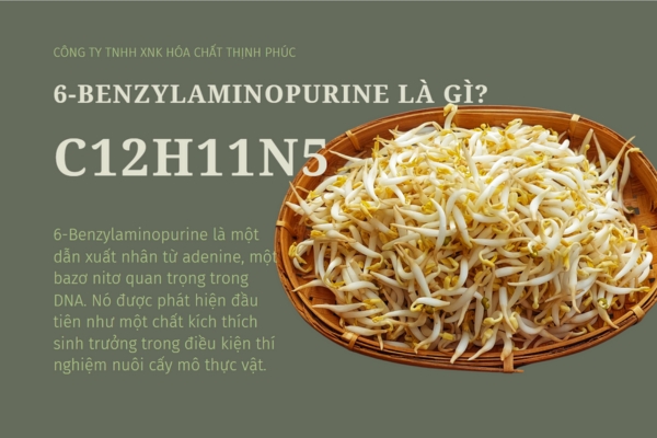 6-Benzylaminopurine Là Gì_ Công Dụng và Tác Hại