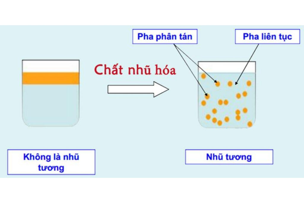 Chất nhũ hóa giúp hòa trộn các thành phần không hòa tan