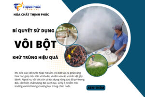 Bí Quyết Sử Dụng Vôi Bột Khửa Trùng Hiệu Quả