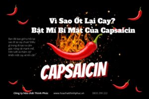 Vì Sao Ớt Lại Cay_ Bật Mí Bí Mật Của Capsaicin