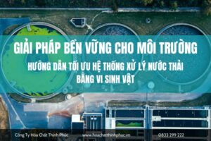 Hướng Dẫn Tối Ưu Hệ Thống Xử Lý Nước Thải Bằng Vi Sinh Vật_ Giải Pháp Bền Vững Cho Môi Trường
