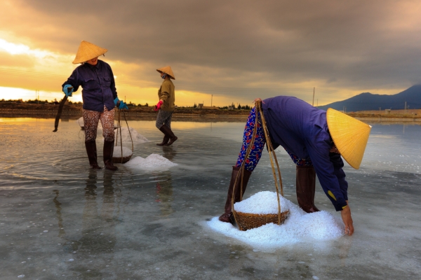 Muối tồn tại tự nhiên trong nước biển