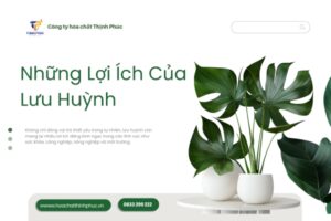 Những Lợi Ích Của Lưu Huỳnh